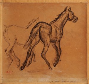 马，约1882年 作者 埃德加·德加