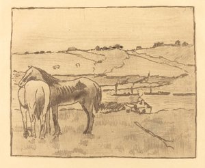 草原上的马匹 Chevaux dans la prairie, 18911892. 作者 埃德加·德加