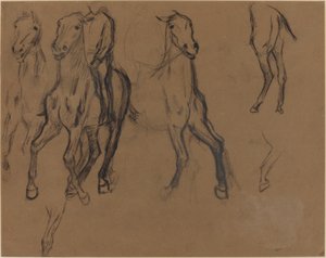 研究马，c.1886（棕色纸上的木炭和石墨） 作者 埃德加·德加