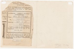 1917年向报纸竞赛编辑提交的意见书 作者 埃德加·弗莱尔