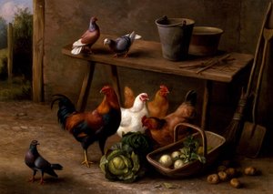 鸡、鸽子和鸽子 作者 Edgar Hunt