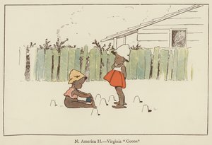 北美，弗吉尼亚浣熊 作者 伊迪丝·法米洛（Edith Farmiloe）