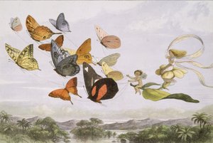 在仙境中。一系列来自精灵世界的图片，1870年。 作者 埃德蒙·埃文斯