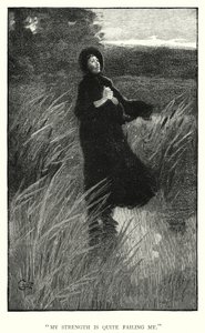 Illustration for Jane Eyre by Charlotte Bronte (engraving) 作者 埃德蒙·亨利·加勒特