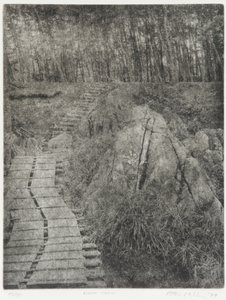 光之轨迹，1994