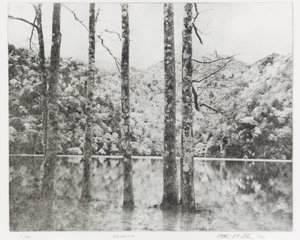 西贡湖，1992