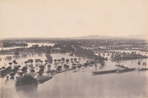 阿维尼翁（1856 年洪水）（Avignon [Inondation de 1856])