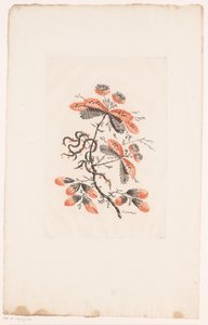 花朵和花蕾
Fleurs Idéalle（系列名称） 作者 查尔斯·列维兹