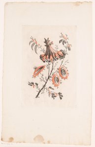 阳伞形状的花朵 Fleurs Idéalle（系列名称） 作者 让·巴蒂斯特·皮列曼