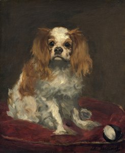 一只查尔斯国王猎犬 作者 爱德华·马奈