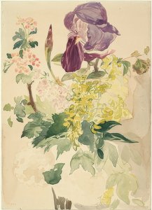 花与虹膜，金莲花和大竺葵的。 1880年 作者 爱德华·马奈