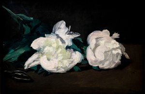 白牡丹枝和弯刀 作者 爱德华·马奈