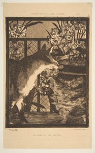 猫和花。尚菲勒里（Champfleury）的猫插图，1869年。 作者 爱德华·马奈
