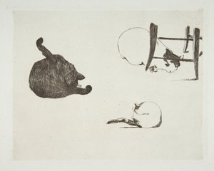 猫，1868-69。 作者 爱德华·马奈