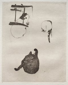 猫，1868-1869年。 作者 爱德华·马奈