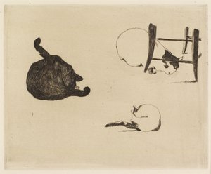 猫，1869年 作者 爱德华·马奈