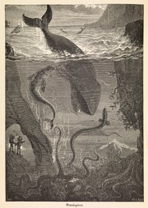 儒勒-凡尔纳的《海底两万里》封面插图，约 1870 年（印刷品） 作者 Edouard & Neuville Alphonse-Marie-Adolphe de (1835-85) Riou