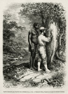 Apatou, guide and travel companion asks the explorer author to engrave his initials in the bark of a tree. Engraving by Riou, to illustrate the story of Cayenne aux Andes, by Jules Crevaux, doctor of the French navy, in 1878-1879, published in the Tour du  作者 爱德华·里奥（Edouard Riou）