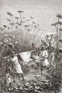 戴维·利文斯通博士在去世前不久被带到了非洲的奇奇塔姆博村，这是亨利·西奥菲勒·希尔迪布兰德（Henri Theophile Hildibrand）所刻的“手中的世界”的插图 作者 爱德华·里奥（Edouard Riou）
