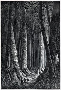 法属圭亚那森林，由Riou绘制，"Le Tour du Monde"，第二学期。1879. 作者 爱德华·里奥（Edouard Riou）