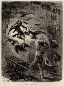 狩猎在 Sarayacu（秘鲁）教堂避难的猫头鹰，由 Riou 绘制，以说明 Paul Marcoy 从 1848 年到 1860 年从太平洋到大西洋的旅程。雕刻在“Le tour du monde”，由 Edouard Charton 编辑 作者 爱德华·里奥（Edouard Riou）