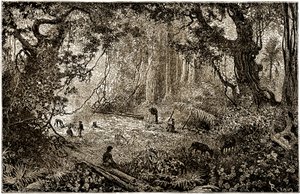 危地马拉探险家营地装置（1882 年） 作者 爱德华·里奥（Edouard Riou）
