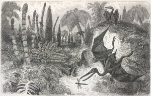 火山时期的景观"。描绘翼龙的插图 作者 爱德华·里奥（Edouard Riou）