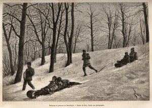 Luges et skaters au plateau du Mont-Royal，靠近蒙特利尔，在 Riou 的一幅画后雕刻，描绘了 H. De Lamotte 于 1873 年在“Le tour du monde”上发表的前往加拿大和红色里维埃北部的游览 ”” 1875 年，爱德华·查顿编辑， 作者 爱德华·里奥（Edouard Riou）