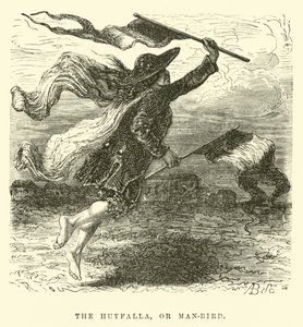 Huyfalla，或man-bird 作者 爱德华·里奥（Edouard Riou）