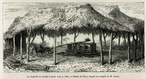 1875 年至 1876 年，Ed. 在 Panche（哥伦比亚）绘制的用于磨碎甘蔗的 Trapiche 或糖厂，由 Riou 绘制，以说明 Equinoxiale America（哥伦比亚、厄瓜多尔、秘鲁）的故事。 安德烈，法国政府负责旅行者任务。 在 Le t 雕刻 作者 爱德华·里奥（Edouard Riou）