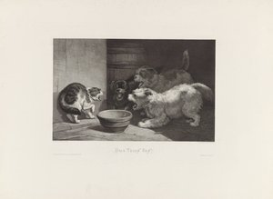 汪汪叫的猫和三只汪汪叫的狗围着一个盘子
三对一 作者 爱德华·陶雷尔