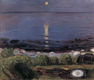 海边的夏日之夜