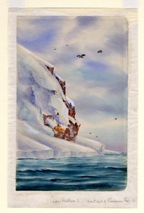 Cape Wadsworth，库尔曼岛（纸上wc） 作者 爱德华·阿德里安·威尔逊