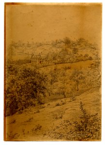 Crippets，1895年（笔和墨水在纸上洗） 作者 爱德华·阿德里安·威尔逊