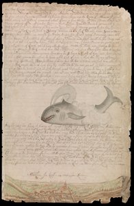 爱德华-巴洛（Edward Barlow）1659 年至 1703 年期间在国王的船、东印度群岛和西印度群岛以及其他商船上的海上生活日志中的插图。 作者 爱德华·巴洛