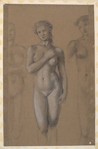 女性裸体-金星的三项研究