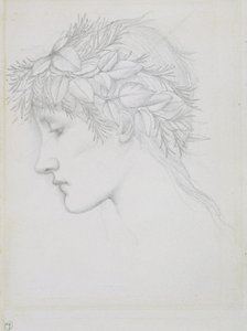 头戴叶冠，约 1897 年（纸上铅笔画） 作者 爱德华·科利·伯恩-琼斯