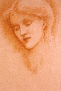 年轻女子的肖像（纸上红色粉笔画）