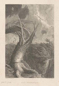 旋风 作者 爱德华·加劳德（Edward Gallaudet），模仿托马斯·科尔