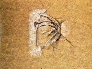 1869年“浪子回归”中的男性躯干披着腰布的研究（粉笔在纸上） 作者 爱德华·约翰·波因特
