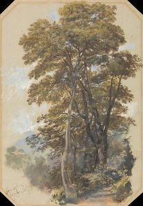采石队，1838 年 6 月 28 日 作者 爱德华·李尔