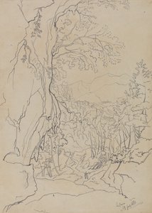 1838 年 7 月 19 日，拉卡瓦 作者 爱德华·李尔