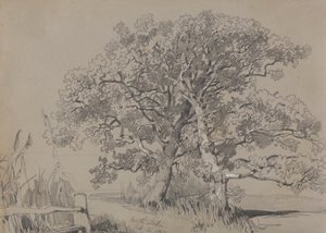北斯托克1834 年 10 月 21 日 作者 爱德华·李尔