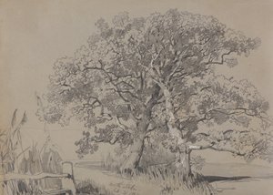 北斯托克1834 年 10 月 21 日 作者 爱德华·李尔