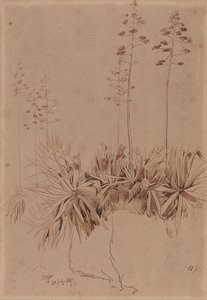 雷焦 作者 爱德华·李尔