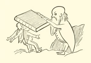 两个老光棍（雕刻）。 作者 爱德华·李尔