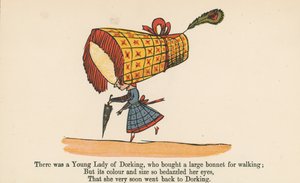 Dorking的一位年轻女士从伦敦Frederick Warne and Co.出版的“A Book of Nonsense”中购买了一个用于行走的大型引擎盖，c.1875