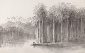 Wady Feiran，西奈山半岛 作者 爱德华·李尔