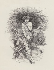 查尔斯·金斯利的《水宝宝》插图（版画） 作者 爱德华·林利（之后）桑伯恩
