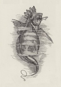 查尔斯·金斯利的《水宝宝》插图（版画） 作者 爱德华·林利（之后）桑伯恩
